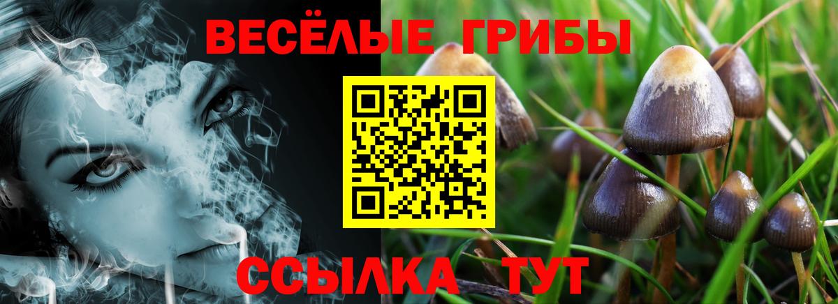 Псилоцибиновые грибы ЛСД Кизляр