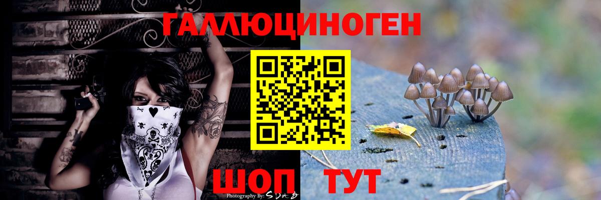 Кизляр  Псилоцибиновые грибы MAGIC MUSHROOMS  Вход с VPN 